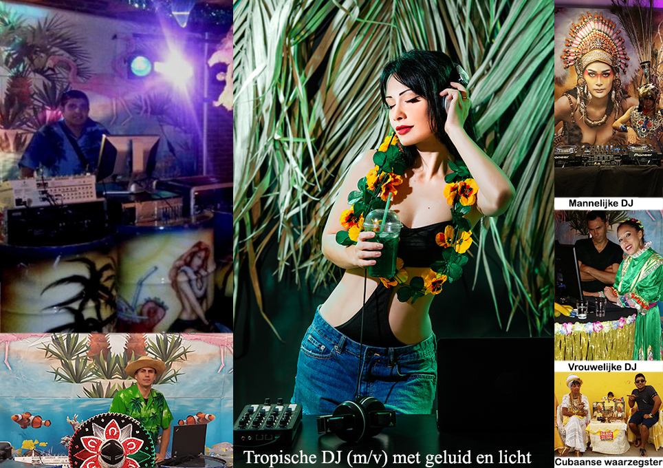 Caribische Live Muziek